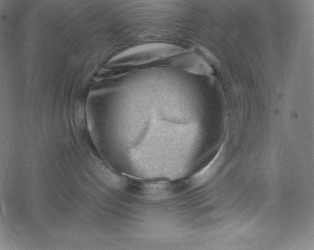 X0000077380192200611031946