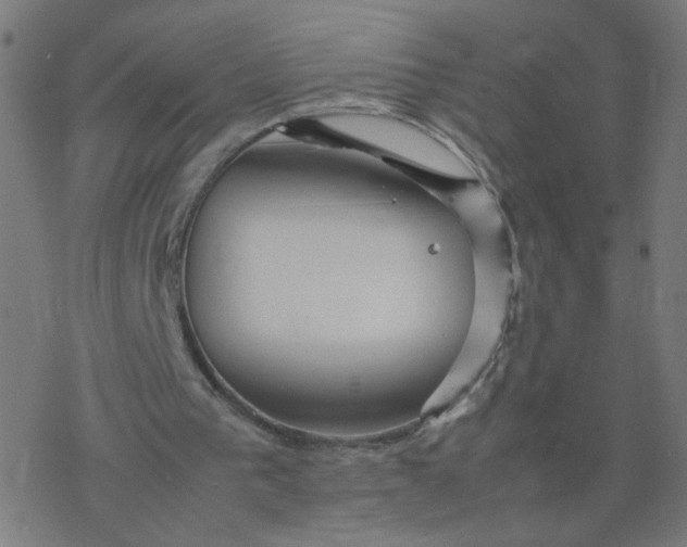 X0000077380193200611031945