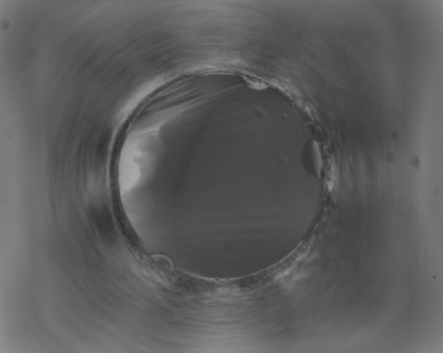 X0000077380196200611031945