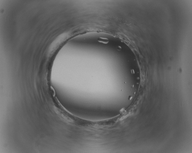 X0000077380197200611031945