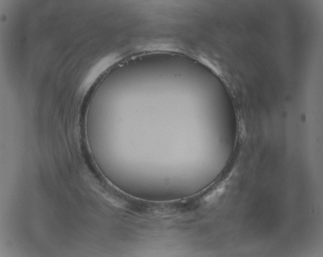 X0000077380199200611031945