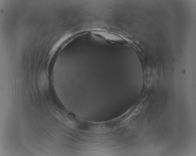 X0000077380200200611031945