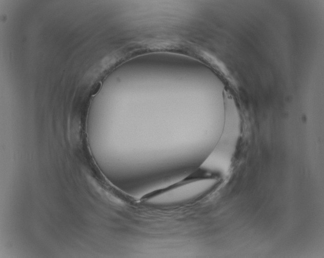 X0000077380201200611031945