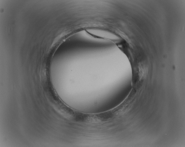 X0000077380207200611031945