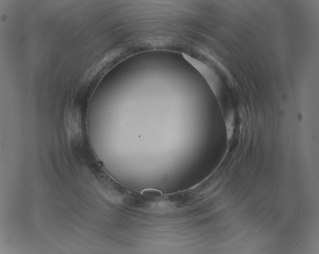 X0000077380212200611031944