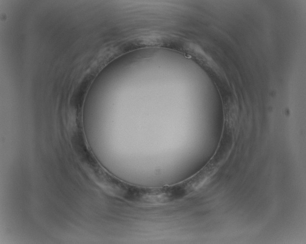 X0000077380213200611031944