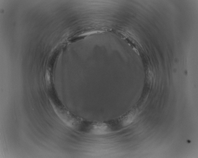 X0000077380214200611031944