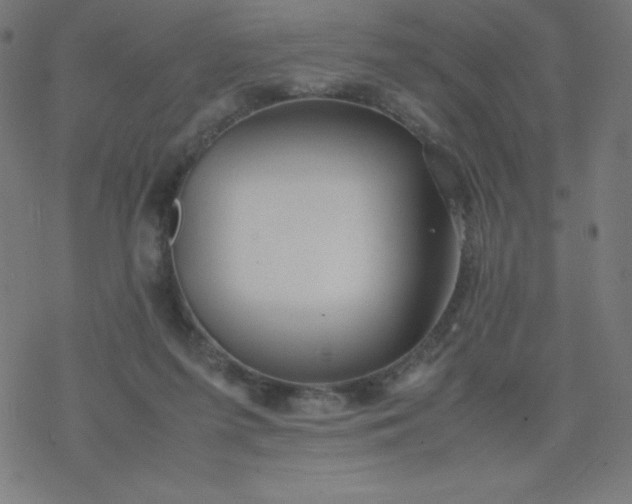 X0000077380215200611031944