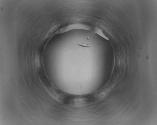 X0000077380216200611031944