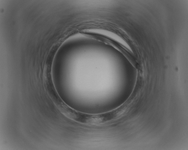 X0000077380217200611031944