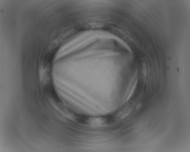 X0000077380218200611031944