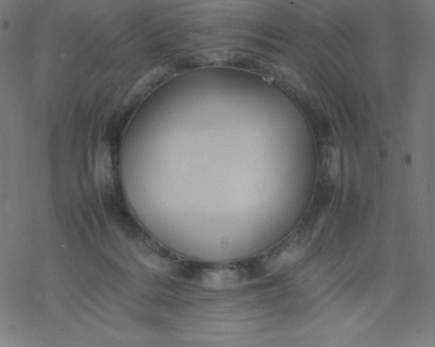 X0000077380220200611031944