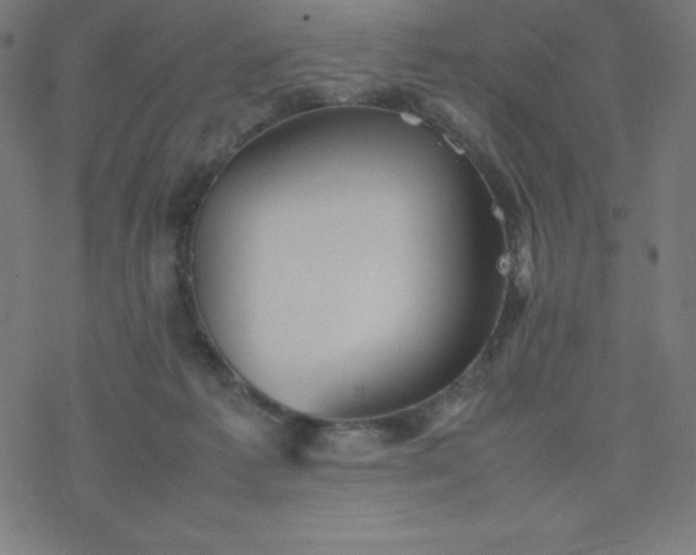 X0000077380221200611031944