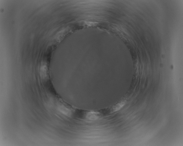 X0000077380222200611031944