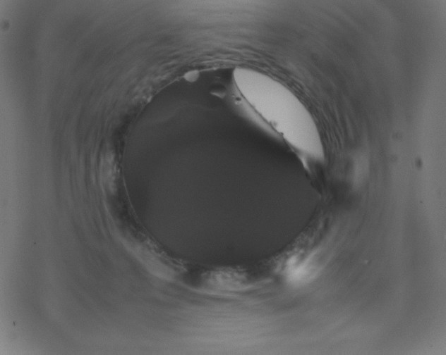 X0000077380223200611031944