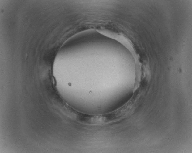 X0000077380225200611031944