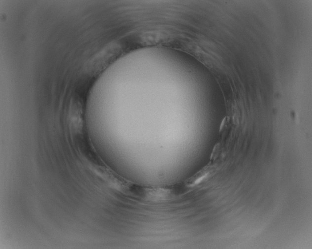 X0000077380226200611031944