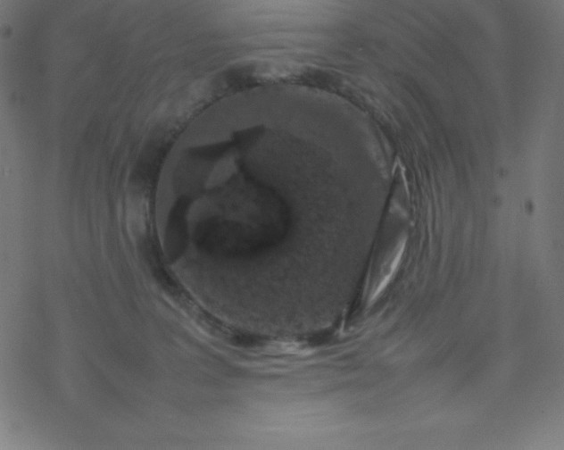 X0000077380227200611031944