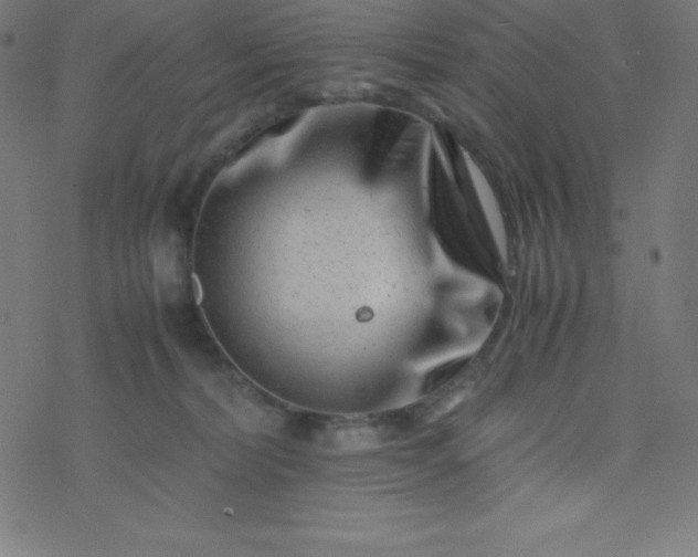 X0000077380228200611031944