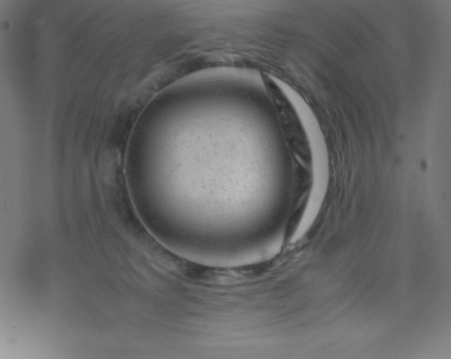 X0000077380229200611031944