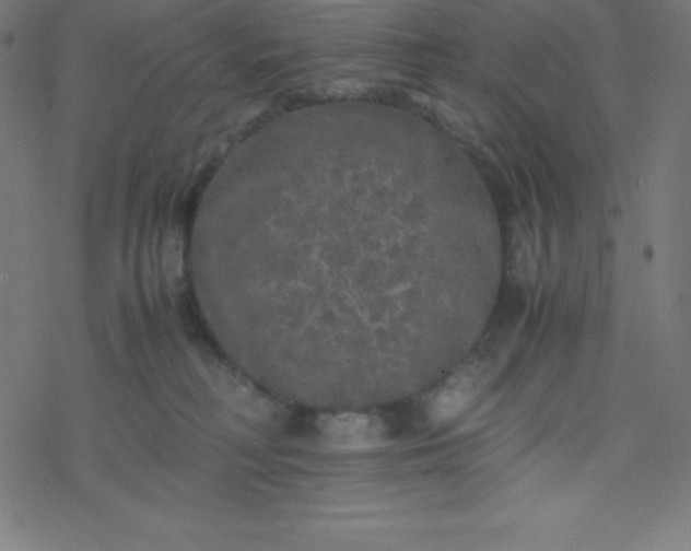 X0000077380230200611031944