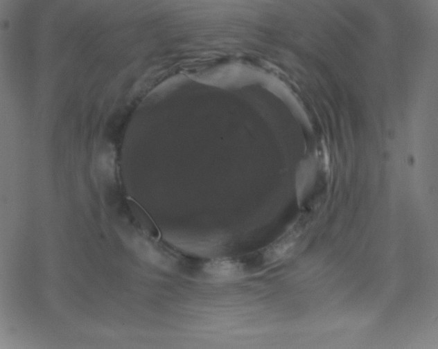 X0000077380231200611031944