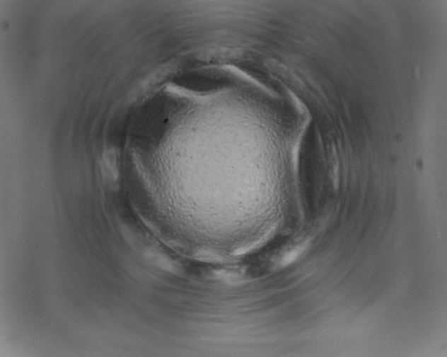 X0000077380232200611031944