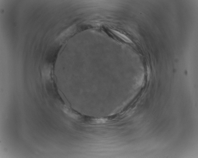 X0000077380233200611031944