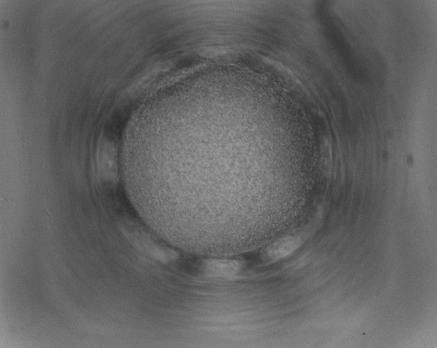 X0000077380234200611031944