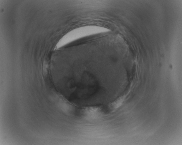 X0000077380235200611031944