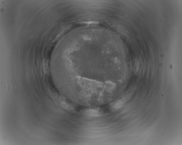 X0000077380236200611031944