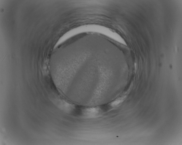 X0000077380237200611031944