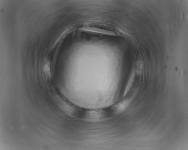 X0000077380238200611031944