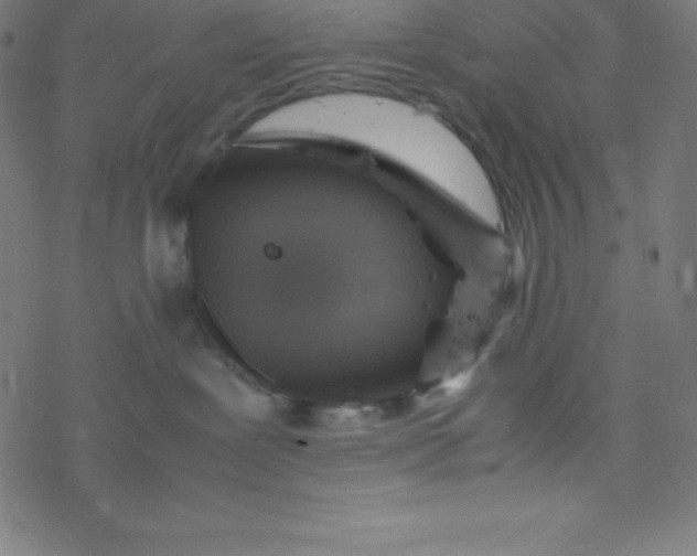 X0000077380239200611031944