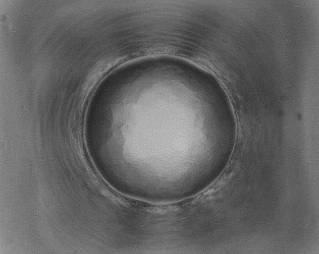 X0000077380241200611031943