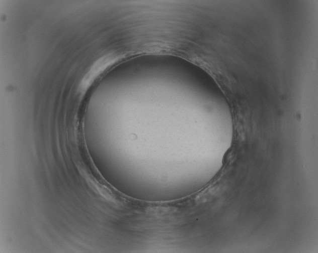 X0000077380242200611031943