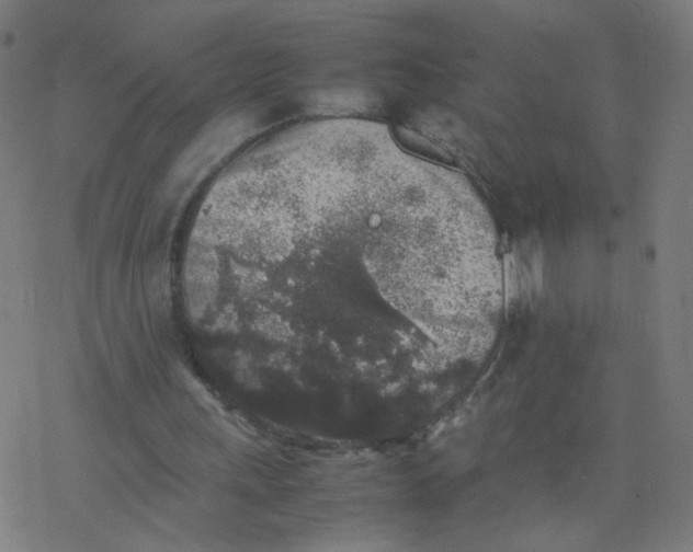 X0000077380243200611031943