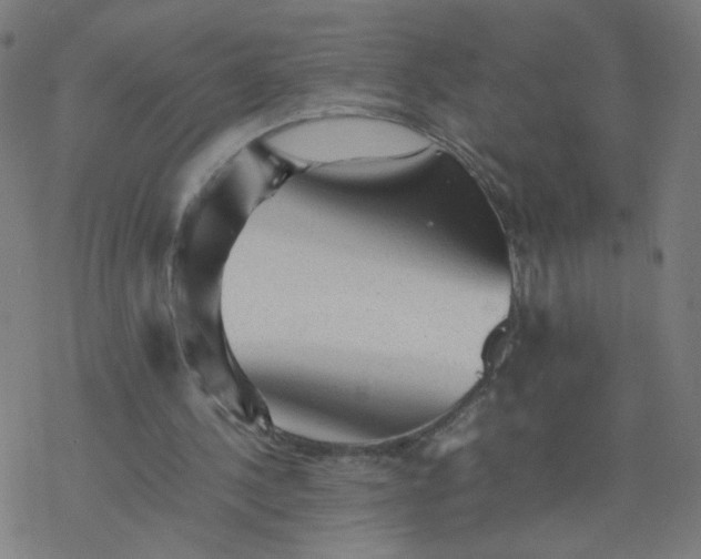 X0000077380244200611031943