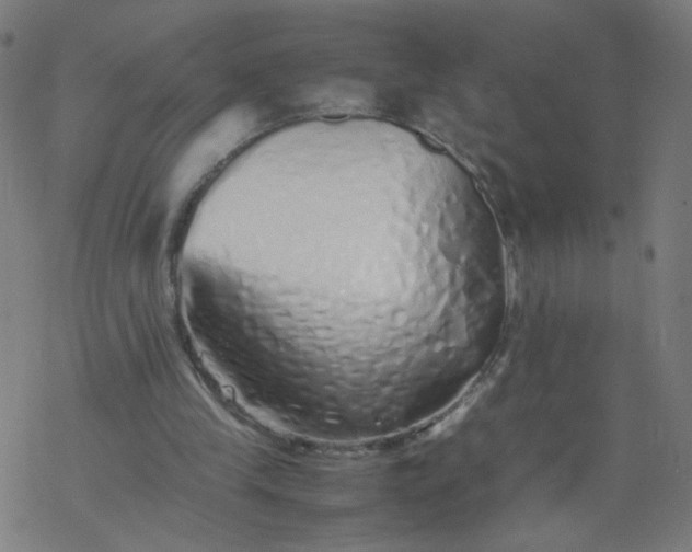 X0000077380245200611031943