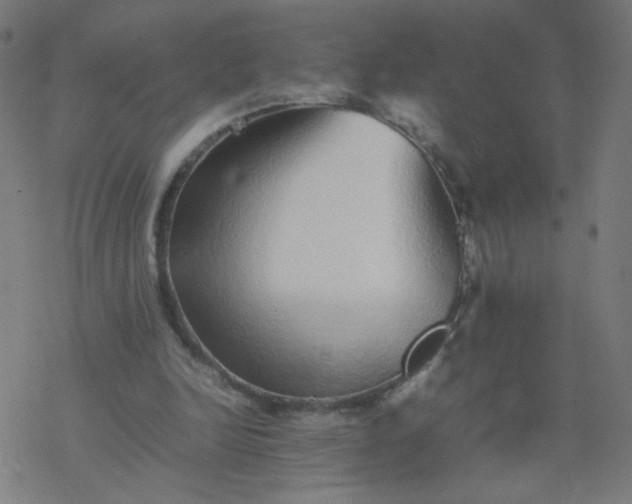 X0000077380246200611031943