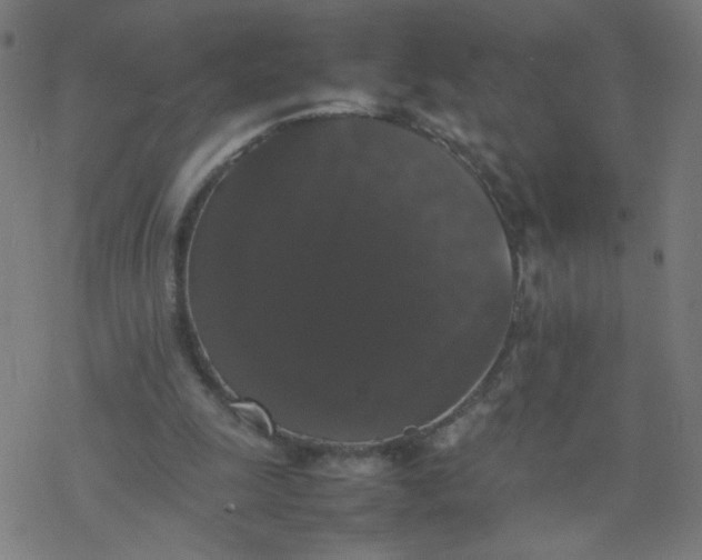 X0000077380247200611031943