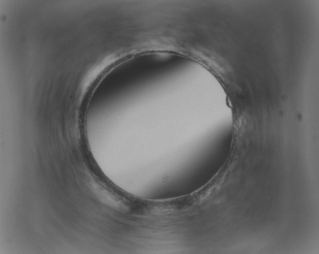 X0000077380248200611031943