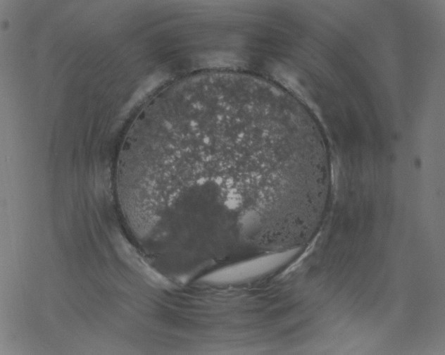 X0000077380249200611031943