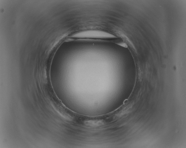 X0000077380251200611031943