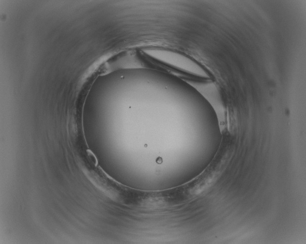 X0000077380252200611031943