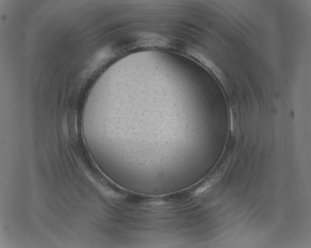 X0000077380253200611031943