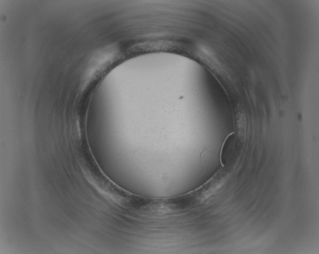 X0000077380254200611031943