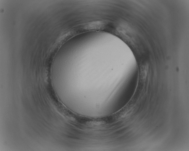 X0000077380255200611031943