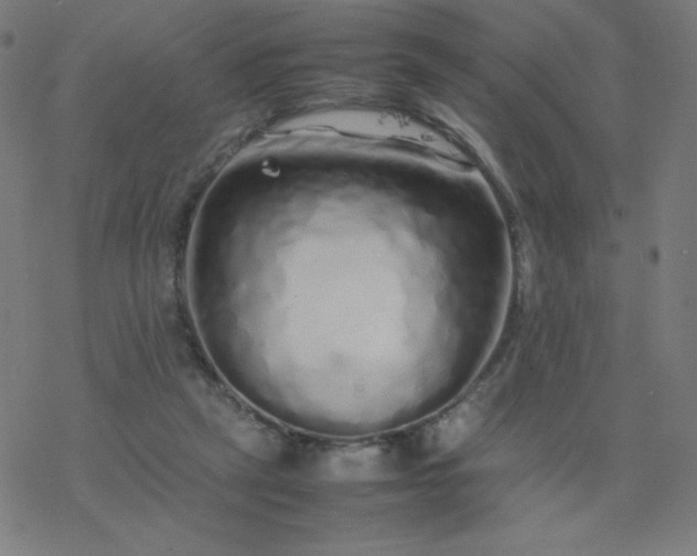 X0000077380257200611031944