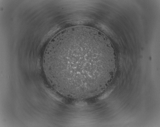 X0000077380258200611031944